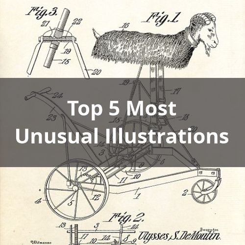 Top 5 Most Unusual Illustrations