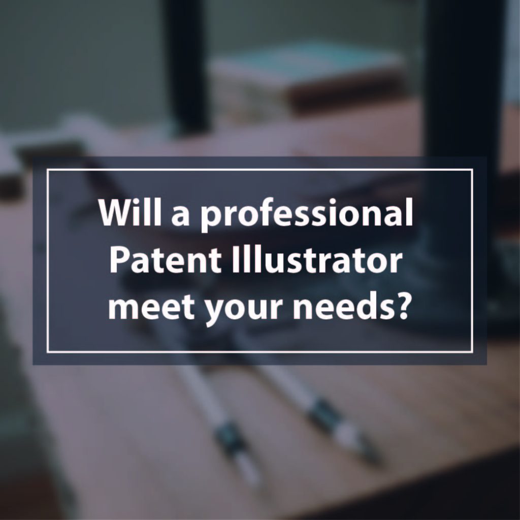 Will a professional patent illustrator meet your needs